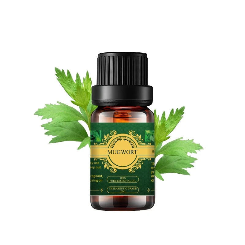 Mugwort oil